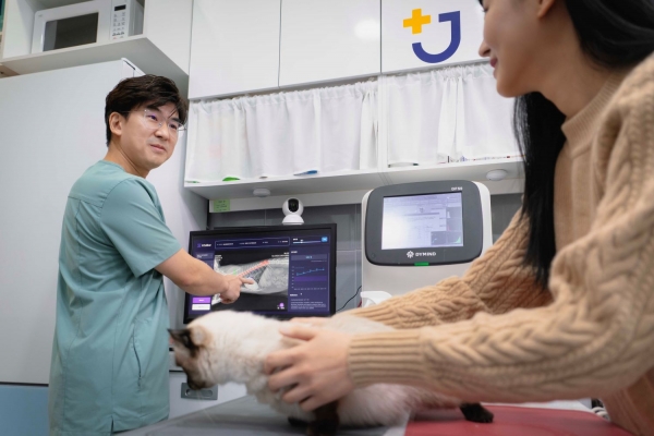 사진은 수도권 소재 동물병원에서 수의사가 엑스칼리버를 활용해 고양이의 엑스레이 사진을 판독하고 진료하는 모습이다. [SKT 제공]