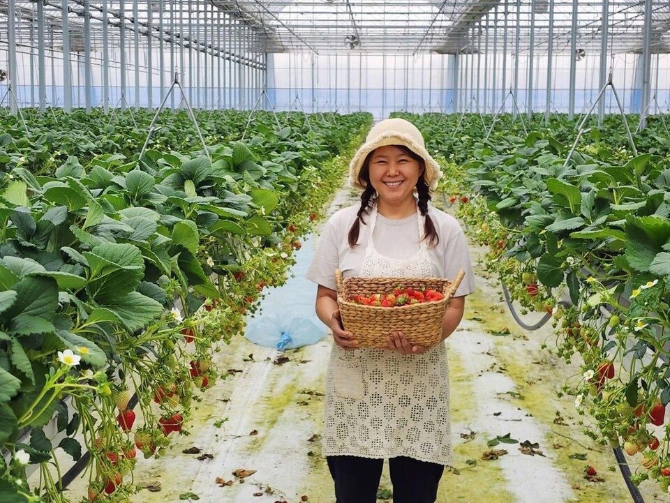 전북 김제에서 딸기 하우스를 운영하는 박미라 대표. 지난해 12월 쿠팡 입점 후 3개월 동안 딸기 19t을 판매했다. [쿠팡 제공]