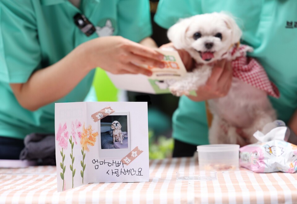 현대프리미엄아울렛 송도점이 5월 가정의 달을 맞아 '펫팸족'을 위한 반려견 친화 쇼핑 이벤트를 선보인다. [현대백화점 제공]