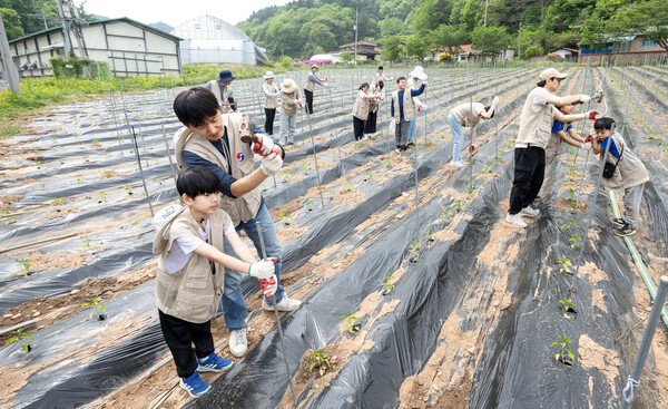 대한항공은 지난달 30일 ‘1사1촌’ 자매결연을 맺고 있는 강원도 홍천군 명동리 마을을 찾아 농촌 일손돕기 및 의료지원 사회공헌 활동을 실시했다.