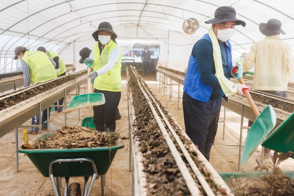 31일 충남 당진시 호우피해 농가를 방문한 이석용 농협은행장(가운데 좌측), 어기구 농해수위 위원장(가운데 우측) 이 수해복구활동을 하고 있다. [NH농협은행 제공]