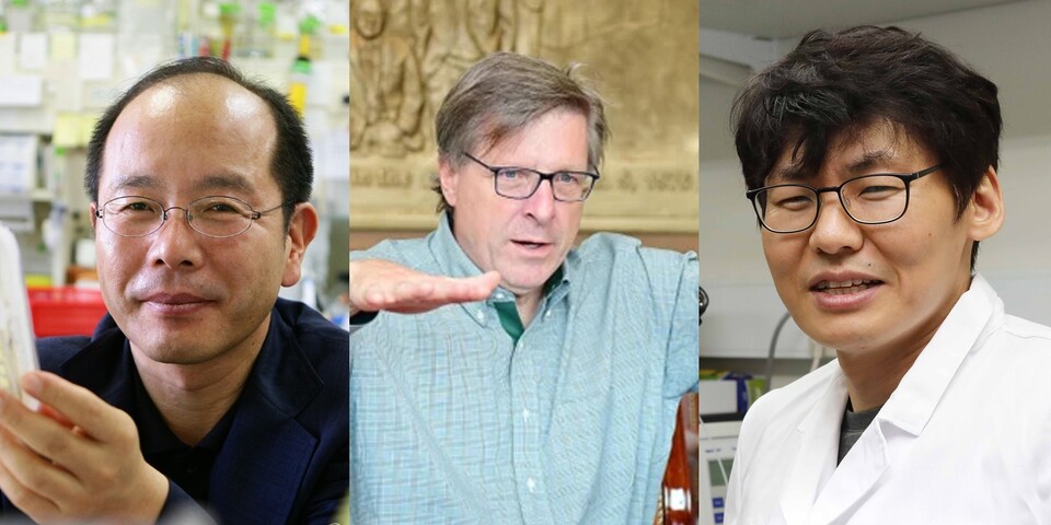 코스닥 상장사 디와이디 이사진으로 합류한 (왼쪽부터) 남홍길 박사, 브라이언 케네디 교수, 이승재 교수.