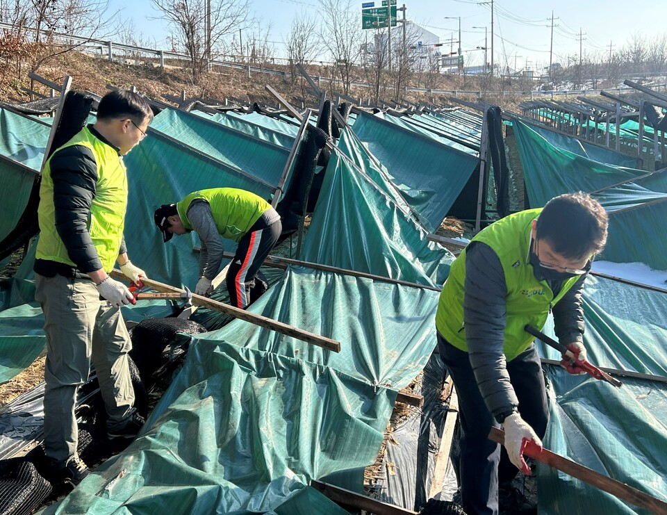 9일 농협경제지주 임직원들이 폭설피해를 입은 경기 이천시 인삼농가를 방문해 복구작업을 진행하고 있다. [농협경제지주 제공]