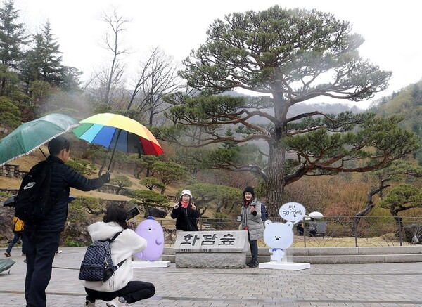 신한은행이 지난 14일 경기도 광주시 소재 화담숲에서 연금 수령 고객을 위한 감사 이벤트 ‘화담숲에서 걸어봄’ 전관행사를 진행했다. [사진=신한은행]