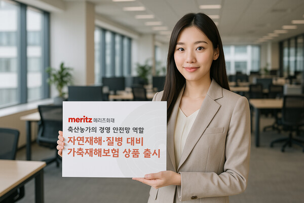 [사진=메리츠화재]