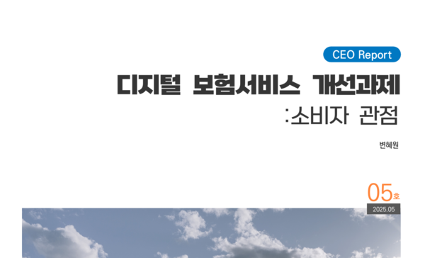 [사진=보험연구원]