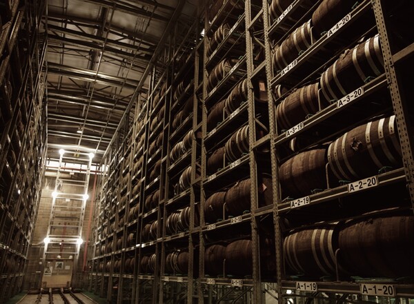 일품진로 목통 숙성고 [하이트진로 제공]