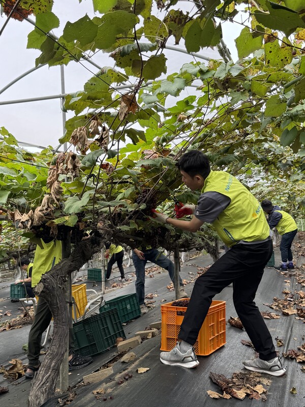 [사진=NH농협생명]