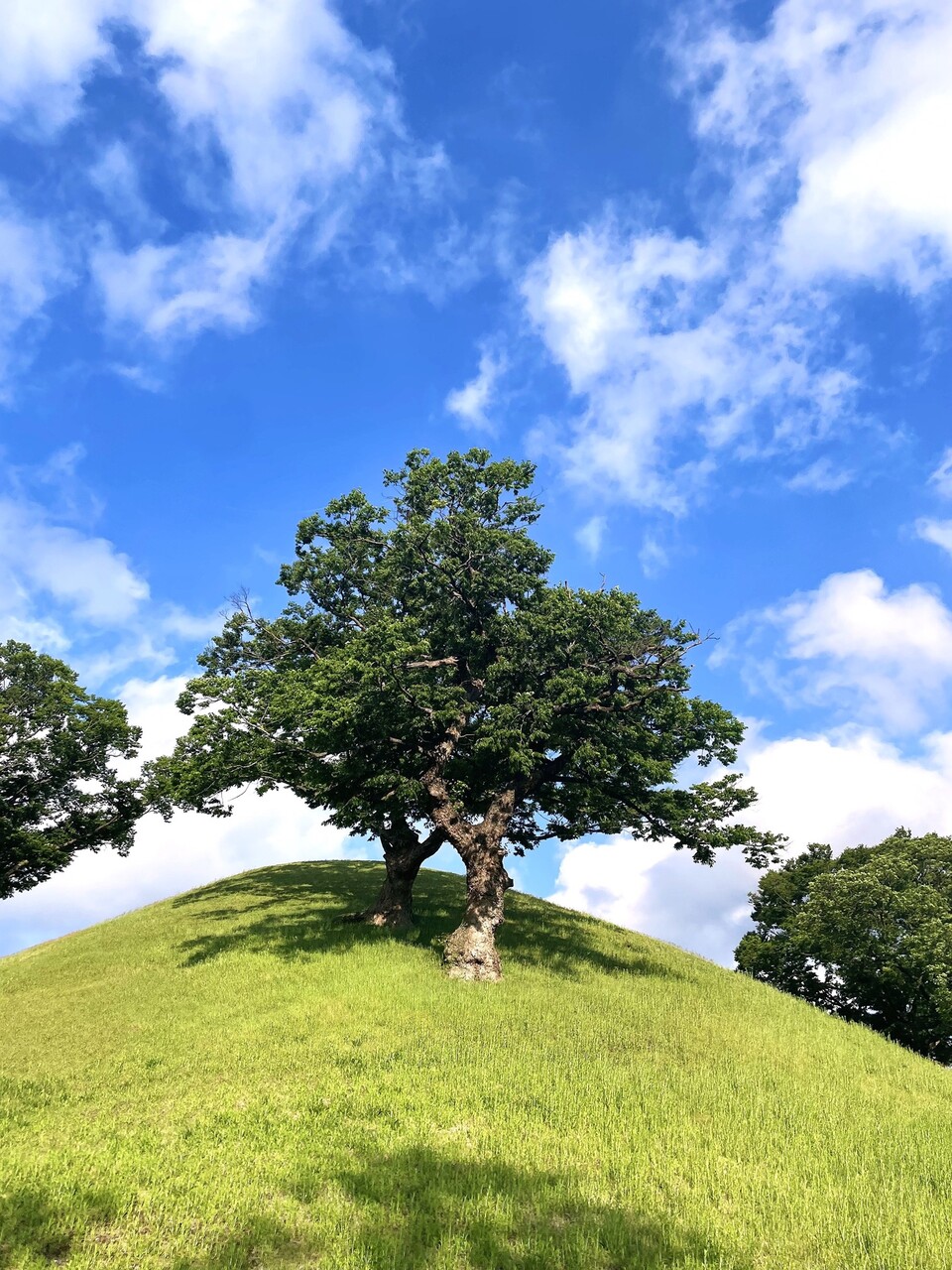 제 2회 HS효성 2026 사진 공모전 당선작. [HS효성 제공]