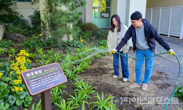 금호석유화학그룹 제공직원들이 금호제주리조트에 식재한 파초일엽에 관수하고 있다. [금호석유화학그룹 제공]