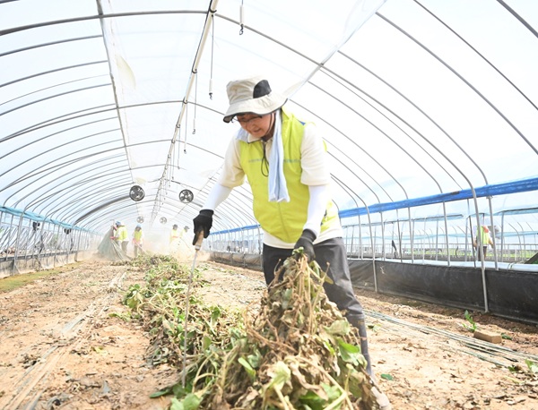 [사진=NH농협손해보험]