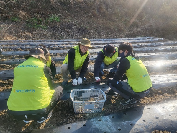 [사진=NH농협생명]