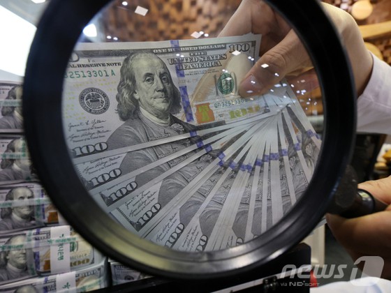 서울 중구 하나은행 위변조대응센터에서 은행 관계자가 달러화를 정리하고 있다. [뉴스1 제공]