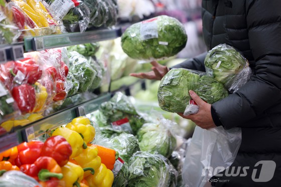 31일 서울의 한 대형마트에서 시민들이 장을 보고 있다.통계청이 이날 발표한 '12월 소비자물가동향'에 따르면 이달 소비자물가지수는 114.91(2020=100)로 전년 동월 대비 1.9% 상승했다​. 2024년 연간 소비자물가지수는 114.18(2020=100)로 전년 대비 2.3% 상승했다. 소비자물가 상승률은 전년 3.6%에서 2.3%로 둔화했다. 올해는 과일과 채소를 중심으로 신선식품 지수는 지난해보다 9.8% 상승, 2010년(21.3%) 이후 14년 만에 최고치다. [뉴스1]