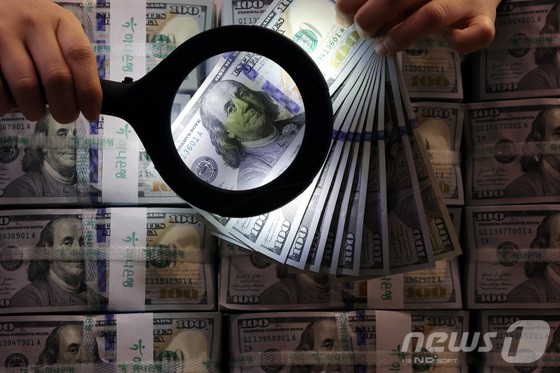 서울 중구 하나은행 위변조대응센터에서 은행 관계자가 달러화를 정리하고 있다. [뉴스1 제공]