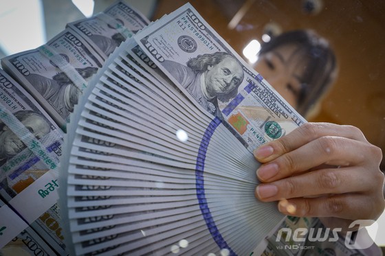 서울 중구 하나은행 명동점 위변조대응센터에서 직원이 달러화를 정리하고 있다. [뉴스1 제공]