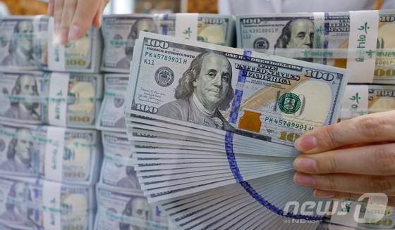 서울 중구 하나은행 명동점 위변조대응센터에서 직원이 달러화를 정리하고 있다. [뉴스1 제공]