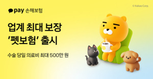 미래고객 선점 박차 카카오페이손보...펫보험·해외여행보험으로 시장 ... - 뉴스 썸네일 이미지